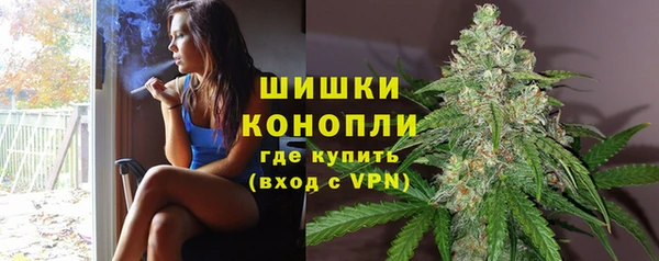 jwh Алзамай