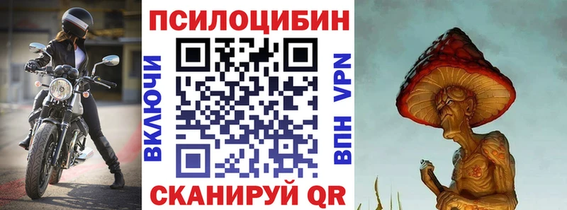 Галлюциногенные грибы прущие грибы  закладка  Салехард 